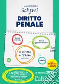 Schemi di diritto penale. Parte generale e speciale libro di Villa Giorgia; Di Stefano Ruben