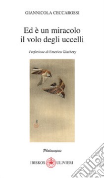 Ed è un miracolo il volo degli uccelli libro di Ceccarossi Giannicola