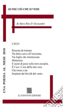 Oltre ciò che si vede libro di D'Alessandro Mara Rita