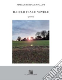 Il cielo tra le nuvole libro di Cavallini Maria Cristina