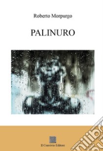 Palinuro libro di Morpurgo Roberto