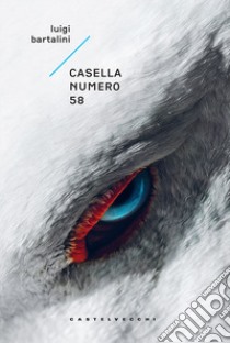 Casella numero 58 libro di Bartalini Luigi