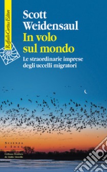 In volo sul mondo. Le straordinarie imprese degli uccelli migratori libro di Weidensaul Scott