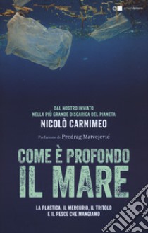 Come è profondo il mare. La plastica, il mercurio, il tritolo e il pesce che mangiamo libro di Carnimeo Nicolò