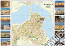 Mantova. Pianta del centro città 1:8.000 libro