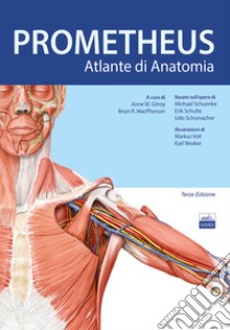 Prometheus. Altante di anatomia libro di Gilroy Anne M.; MacPherson Brian R.; Ross Lawrence M.; Gaudio E. (cur.)