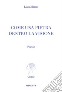 Come una pietra dentro la visione libro di Manes Luca