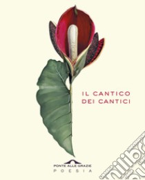 Il cantico dei cantici. Testo ebraico a fronte libro di Capelli P. (cur.)