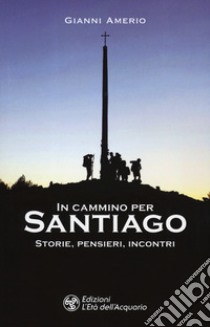 In cammino per Santiago. Storie, pensieri, incontri libro di Amerio Gianni