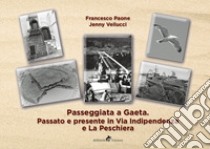 Passeggiata a Gaeta: passato e presente in Via Indipendenza e La Peschiera. Ediz. illustrata libro di Vellucci Jenny; Paone Francesco