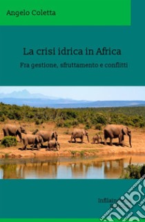 La crisi idrica in Africa. Fra gestione, sfruttamento e conflitti libro di Coletta Angelo