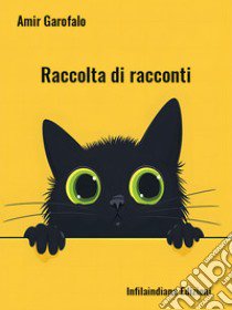 Raccolta di racconti. Ediz. integrale libro di Garofalo Amir