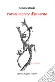 Vorrei morire d'inverno libro di Raieli Roberto