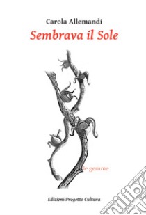 Sembrava il Sole libro di Allemandi Carola