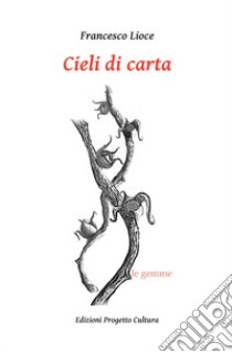 Cieli di carta libro di Lioce Francesco