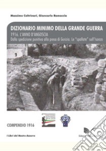 1916. L'anno d'angoscia. Dalla spedizione punitiva alla presa di Gorizia. Le «spallate» sull'Isonzo libro di Coltrinari Massimo; Ramaccia Giancarlo