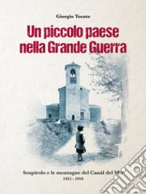 Un piccolo paese nella Grande Guerra. Sospirolo e le montagne del Canàl del Mis 1915-1918 libro di Tosato G. (cur.)