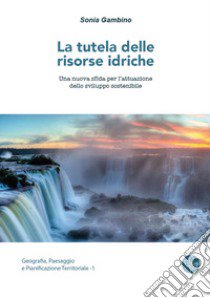 La tutela delle risorse idriche. Una nuova sfida per l'attuazione dello sviluppo sostenibile libro di Gambino Sonia