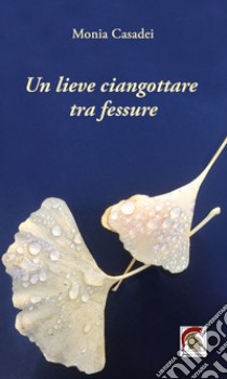 Un lieve ciangottare tra fessure libro di Casadei Monia