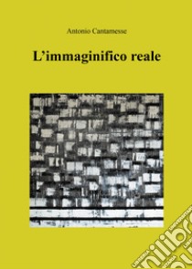 L'immaginifico reale libro di Cantamesse Antonio