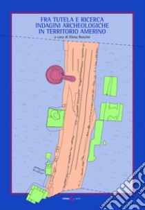 Fra tutela e ricerca. Indagini archeologiche in territorio amerino libro di Roscini E. (cur.)