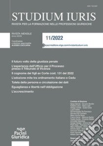 Studium iuris. Rivista per la formazione nelle professioni giuridiche (2022). Vol. 11 libro