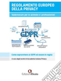 Regolamento europeo della privacy. Vademecum per aziende e liberi professionisti. Come sopravvivere al GDPR ed essere in regola libro di Papini Alessandro; Dell'Aiuto Gianni; Accademia Italiana Privacy (cur.)