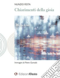 Chiarimenti della gioia libro di Festa Nunzio