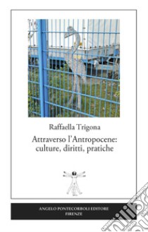 Attraverso l'antropocene: culture, diritti, pratiche libro di Trigona Raffaella