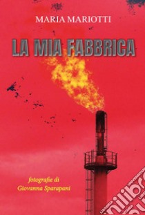 La mia fabbrica. Ediz. illustrata libro di Mariotti Maria