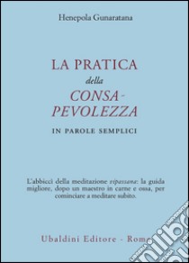 La pratica della consapevolezza. In parole semplici libro di Gunaratana Henepola