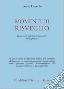 Momenti di risveglio. La consapevolezza nel sentiero del vajrayana libro di Anyen (Rinpoche)