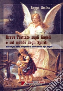 Breve trattato sugli angeli e sul mondo degli spiriti libro di Amico Beppe