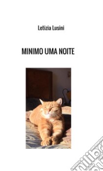 Minimo uma noite libro di Lusini Letizia