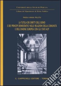 La tutela dei diritti dell'uomo e dei principi democratici nelle relazioni della comunità e dell'unione europea con gli Stati ACP libro di Pillitu Paola A.