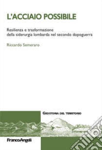 L'acciaio possibile. Resilienza e trasformazione della siderurgia lombarda nel secondo dopoguerra libro di Semeraro Riccardo