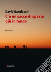 C'è un sacco di spazio giù in fondo libro di Bargiacchi David