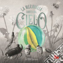 La meraviglia caduta dal cielo. Ediz. a colori libro di The fan brothers