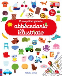 Il mio primo grande abbecedario illustrato. Ediz. a colori libro di Choux Nathalie