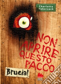 Non aprire questo pacco. Brucia!        libro di Habersack Charlotte