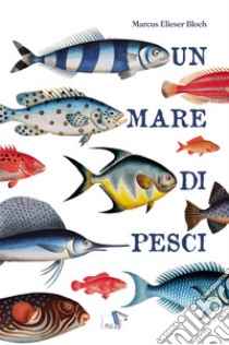Un mare di pesci. Ediz. a colori libro di Bloch Marcus Elieser