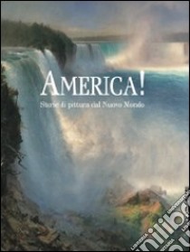 America! Storie di pittura dal Nuovo Mondo. Ediz. illustrata libro di Goldin Marco