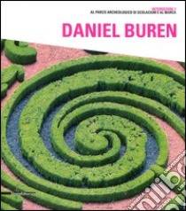 Daniel Buren. Catalogo della mostra (Catanzaro, 27 luglio-14 ottobre 2012). Ediz. italiana e inglese libro di Fiz A. (cur.)