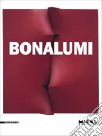 Bonalumi. Catalogo della mostra (Catanzaro, 22 febbraio-31 maggio 2014). Ediz. italiana e inglese libro di Fiz A. (cur.)