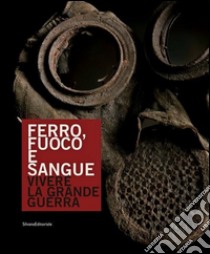 Ferro, fuoco e sangue. Vivere la Grande Guerra. Ediz. a colori libro di Passarin M. (cur.)