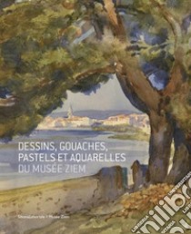 Dessins, gouaches, pastels et aquarelles du Musée Ziem libro