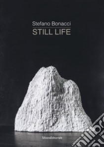 Stefano Bonacci. Still life. Catalogo della mostra (Segrate, 30 marzo-30 aprile 2019). Ediz. illustrata libro di Poldi G. (cur.); Fiorucci S. (cur.)