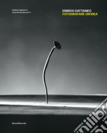 Enrico Cattaneo. Fotografare un'idea. Ediz. italiana e inglese libro di Zanchetti Giorgio; Nicoletti Luca Pietro