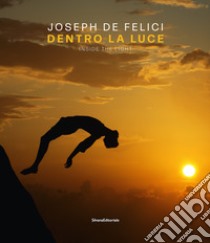 Joseph De Felici. Dentro la luce. Ediz. italiana e inglese libro di Martusciello B. (cur.)