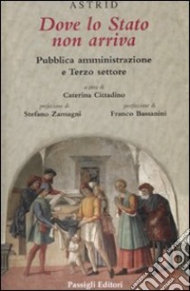 Dove lo Stato non arriva. Pubblica amministrazione e terzo settore libro di Cittadino C. (cur.)